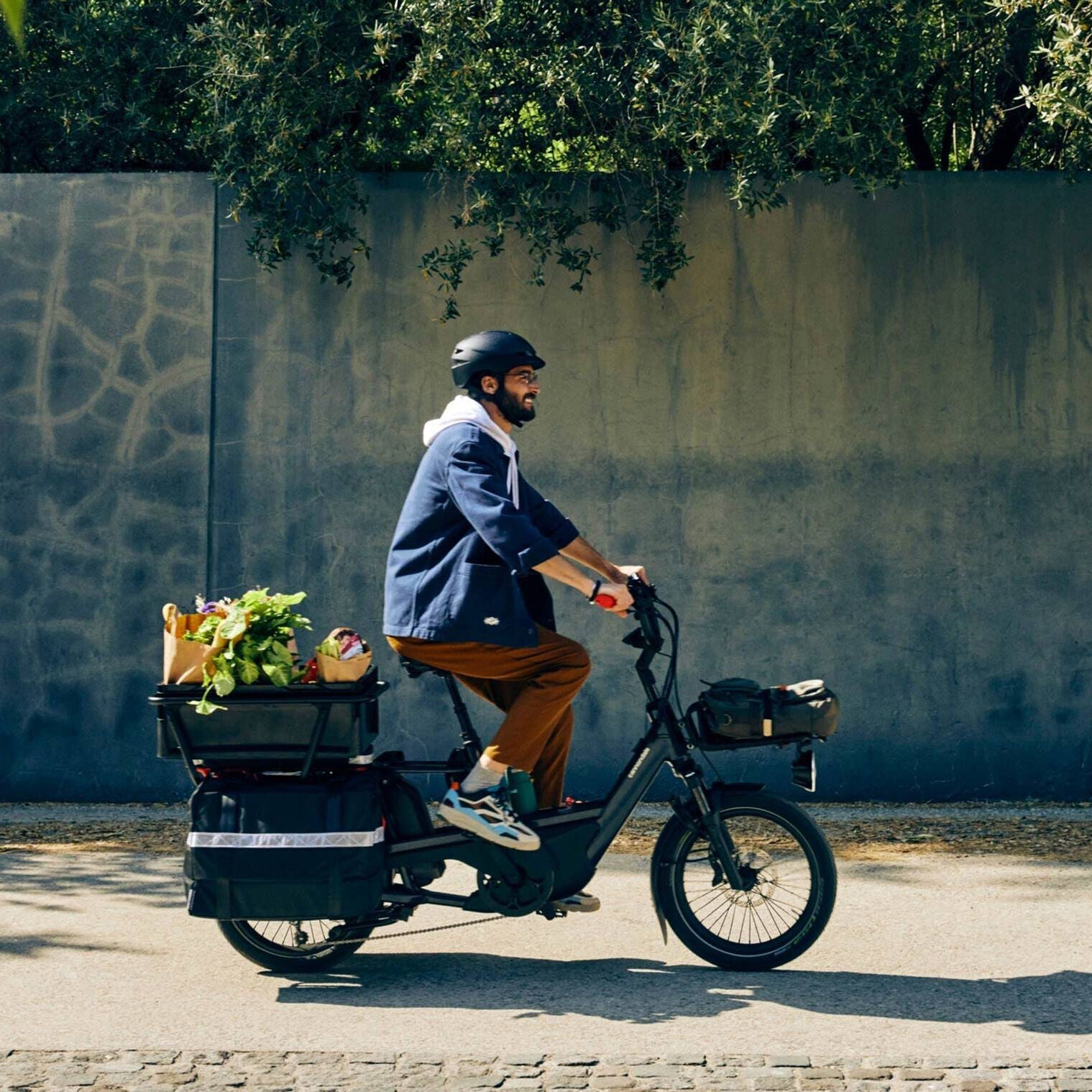 Cannondale Cargowagen Neo 2