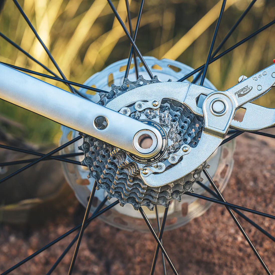 Feedback Sports bottom bracket and lockring tool