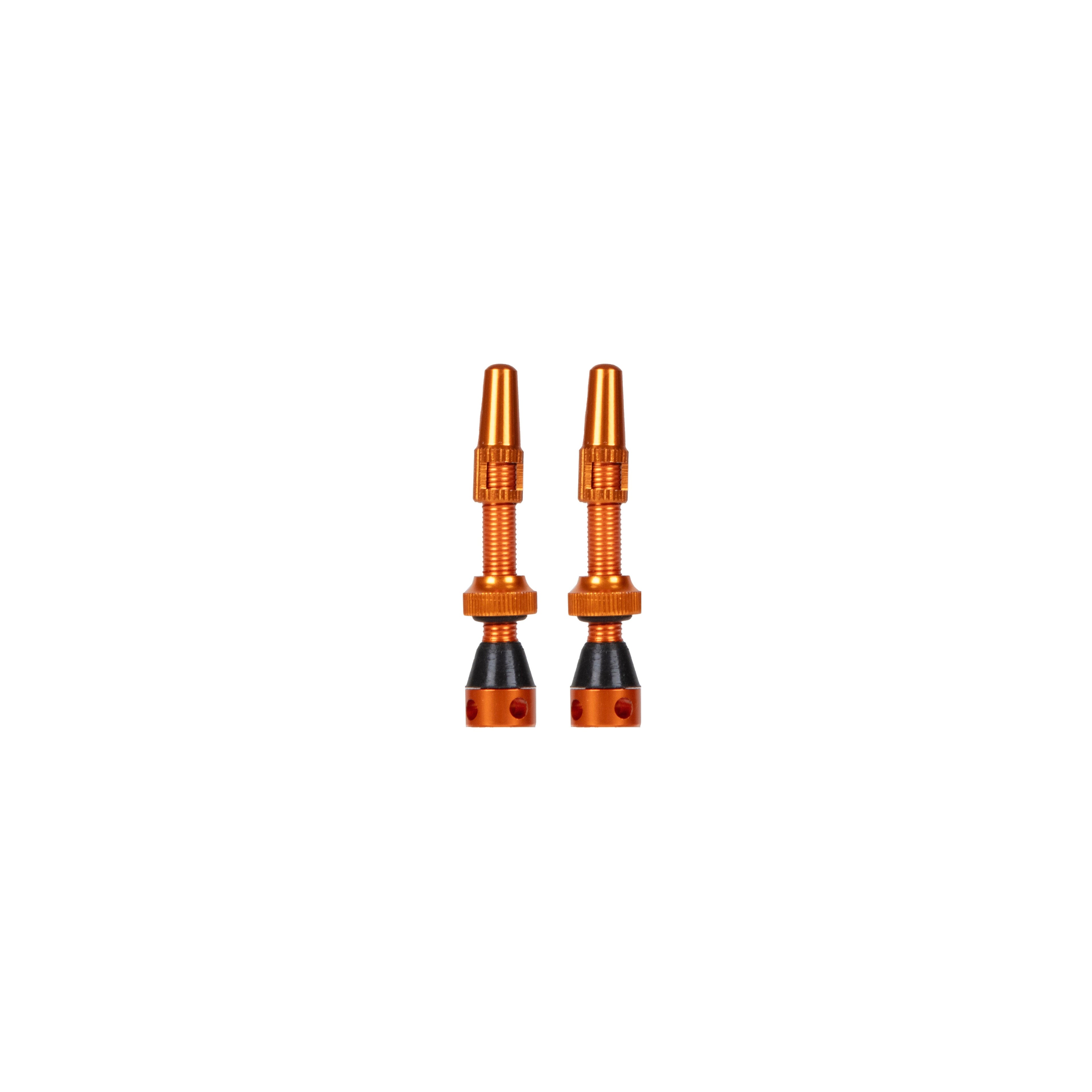 Grade V2 Presta Tubeless valve kit