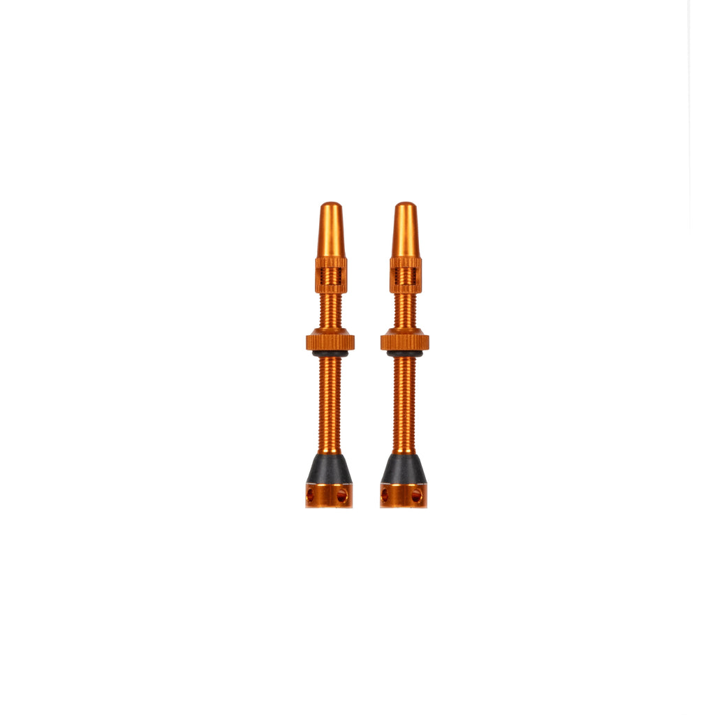 Grade V2 Presta Tubeless valve kit