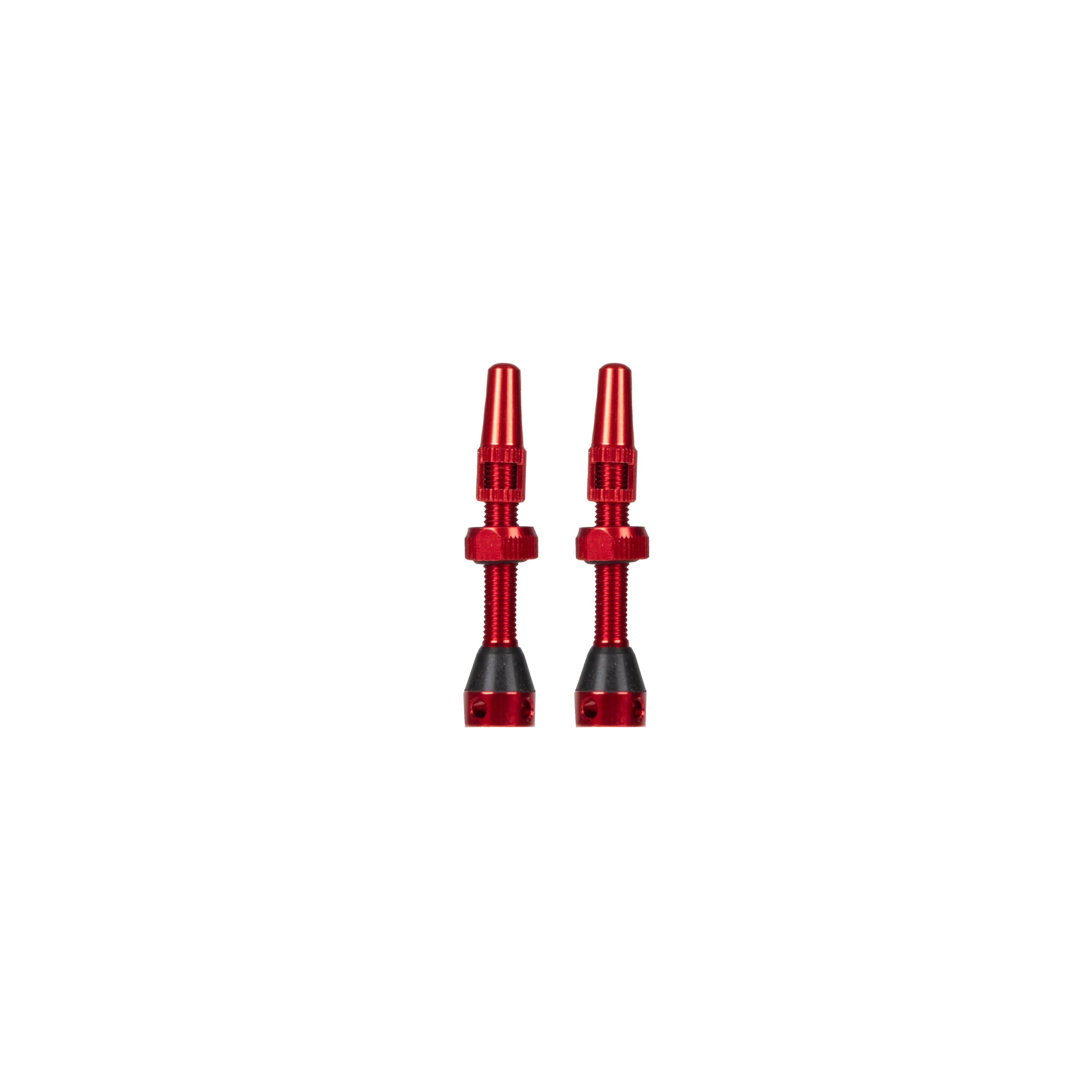 Grade V2 Presta Tubeless valve kit