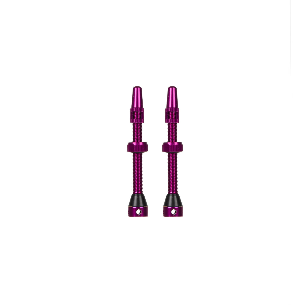 Grade V2 Presta Tubeless valve kit