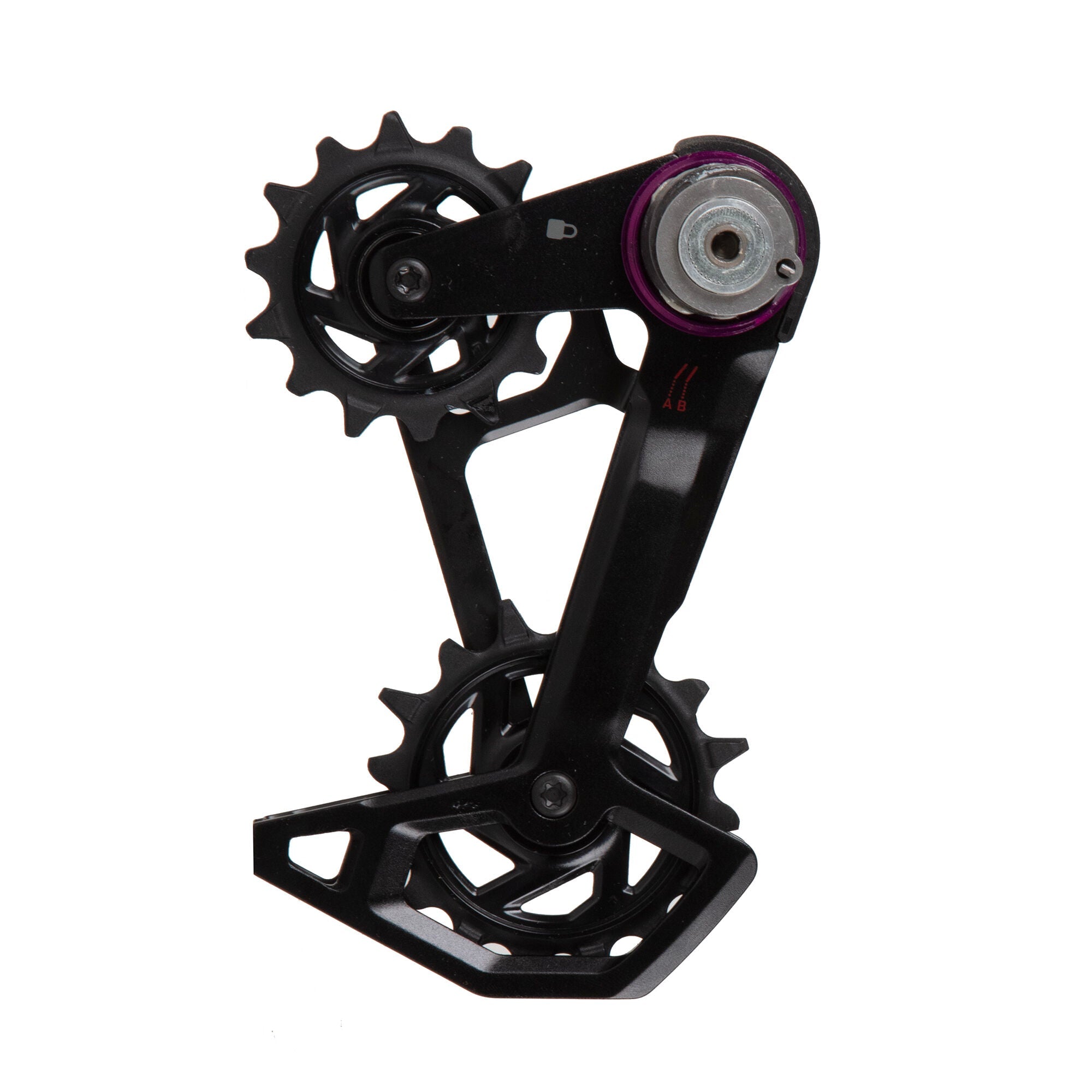Sram X0 T-Type Eagle AXS rear derailleur cage and pulley
