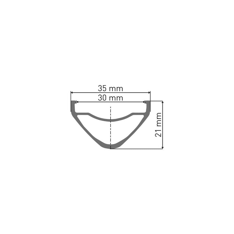 DT Swiss FR 541 29" rim 30 mm