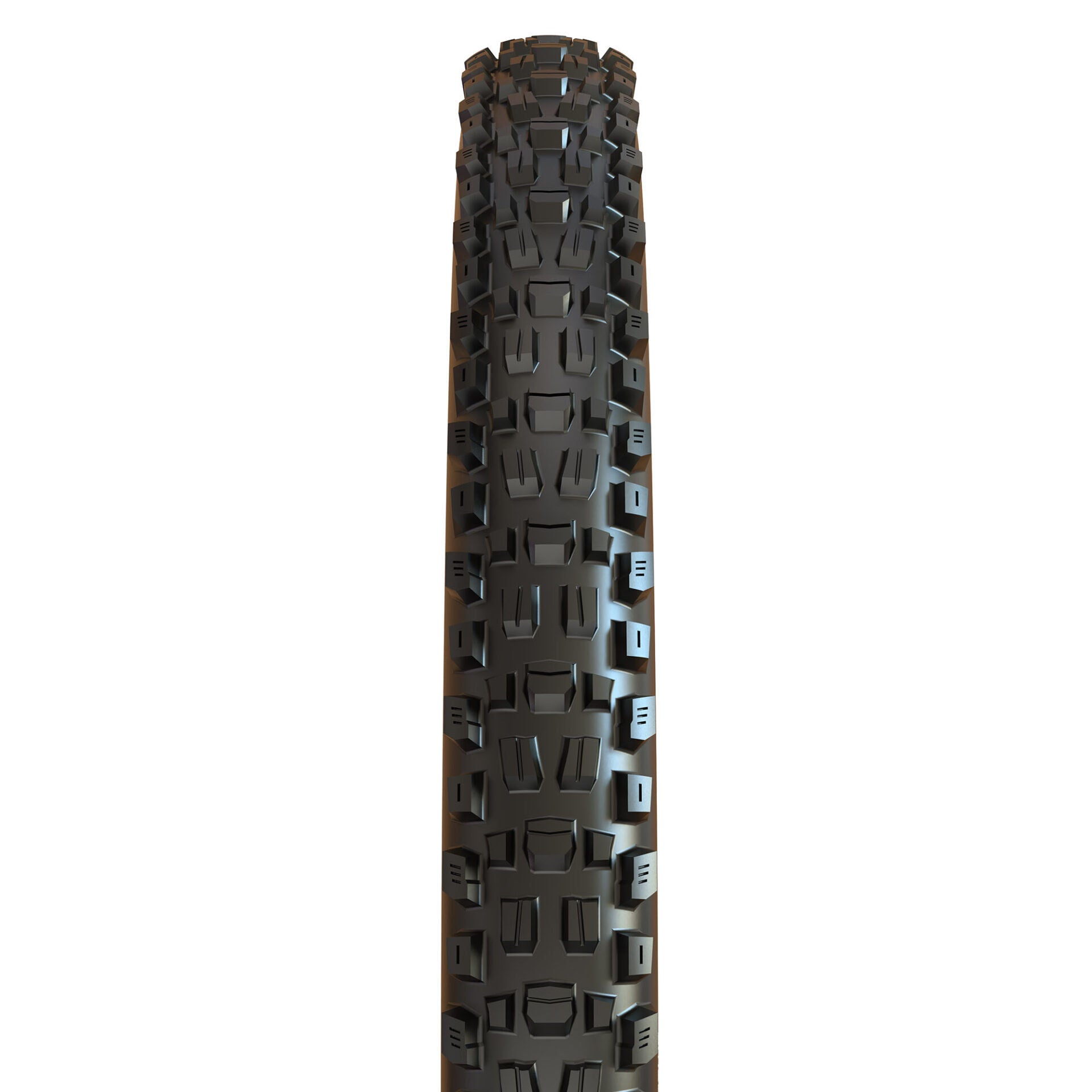 Maxxis Assegai TL-Ready DH dual compound WT 29 tyre