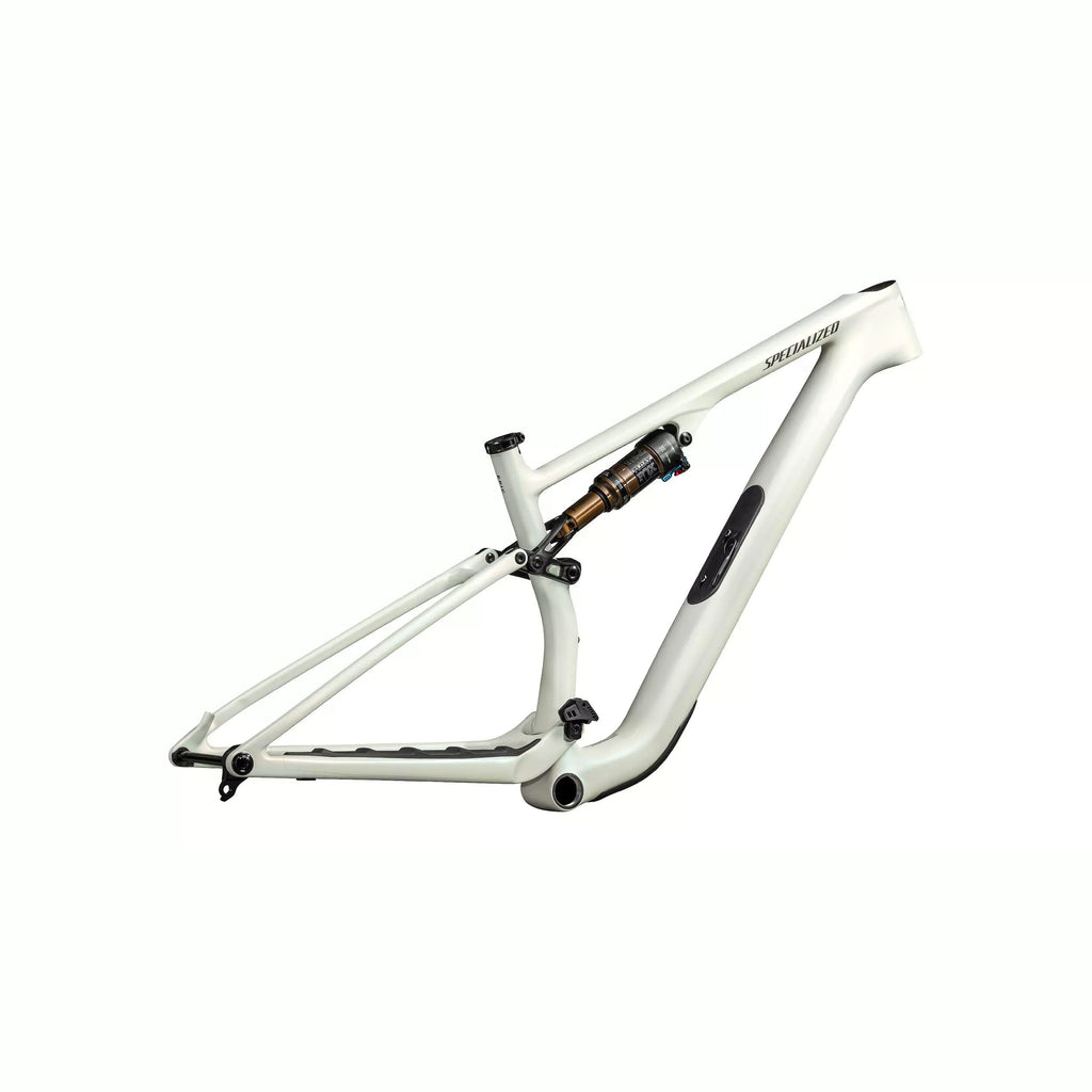 Specialized Epic 8 Evo Pro frame