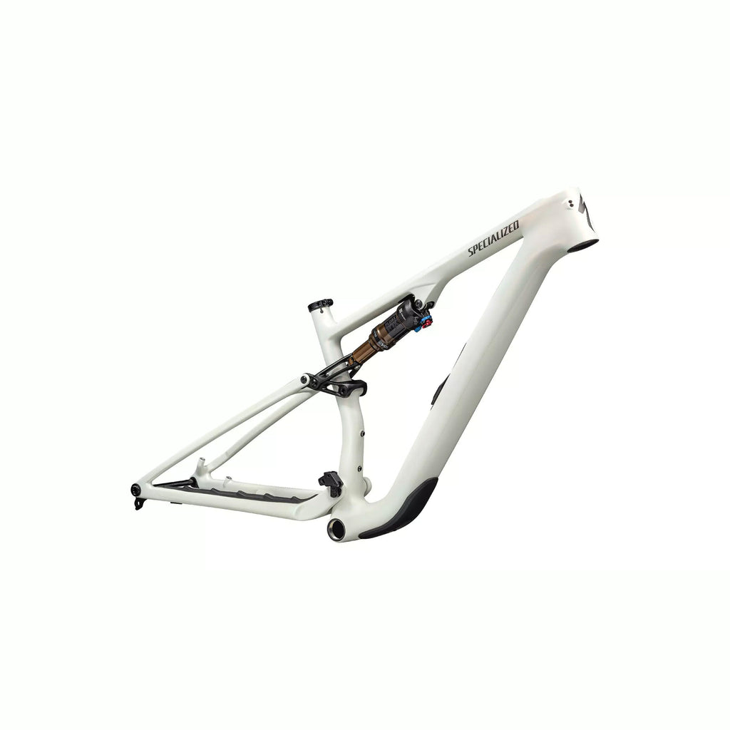 Specialized Epic 8 Evo Pro frame