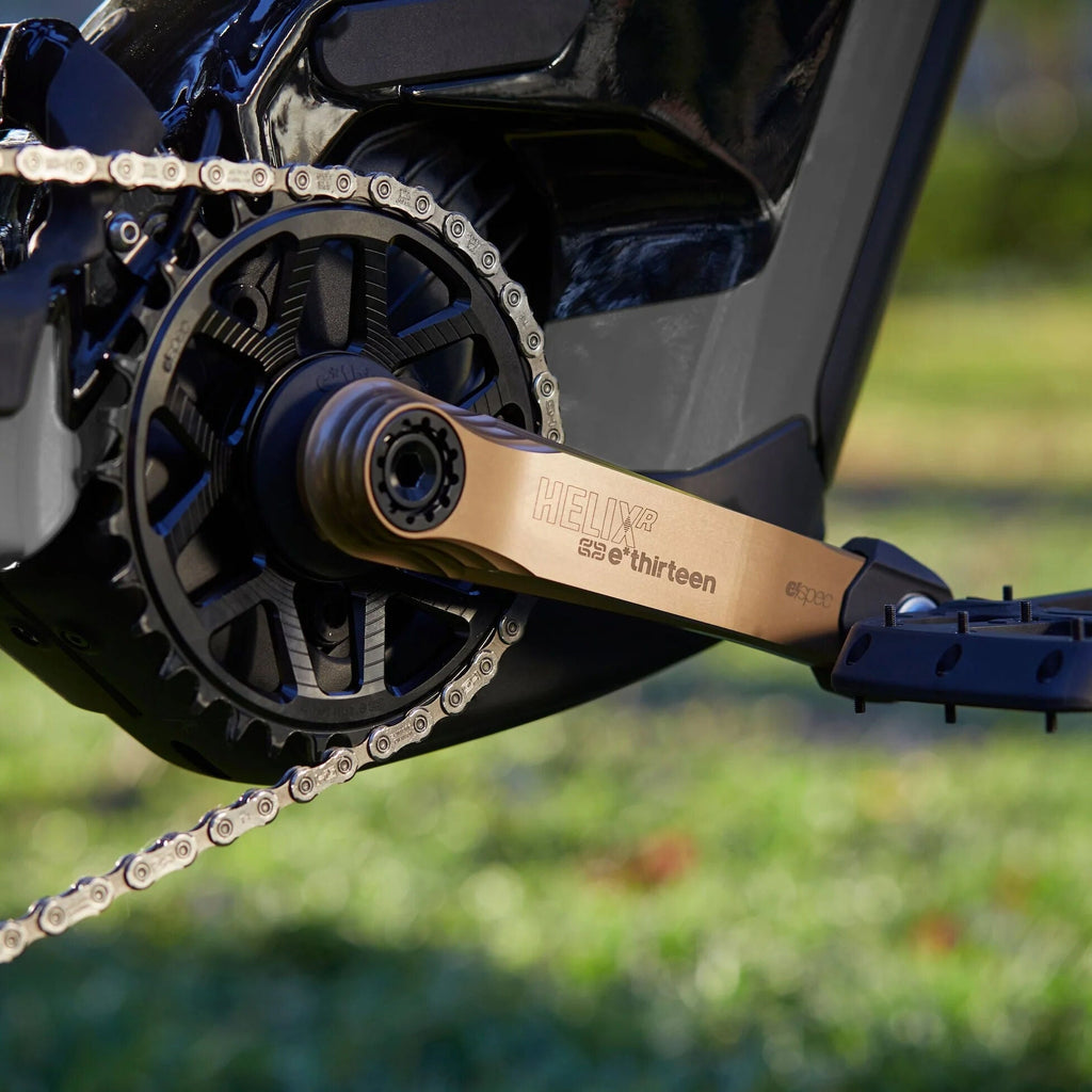 E*thirteen Helix Race E*spec crank arms