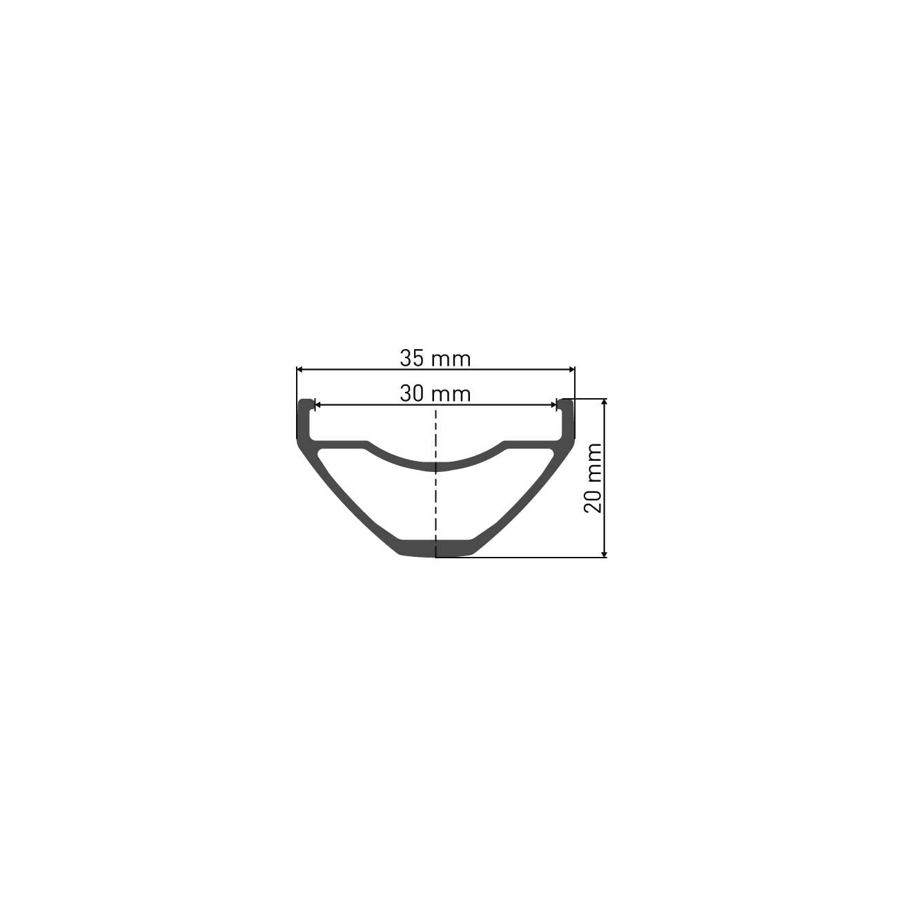DT Swiss E 532 29" rim 30 mm