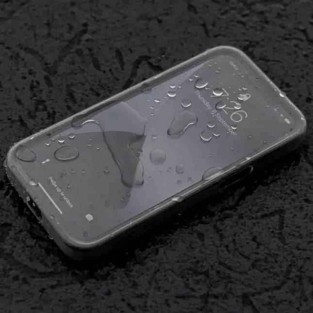 Quad Lock Original case