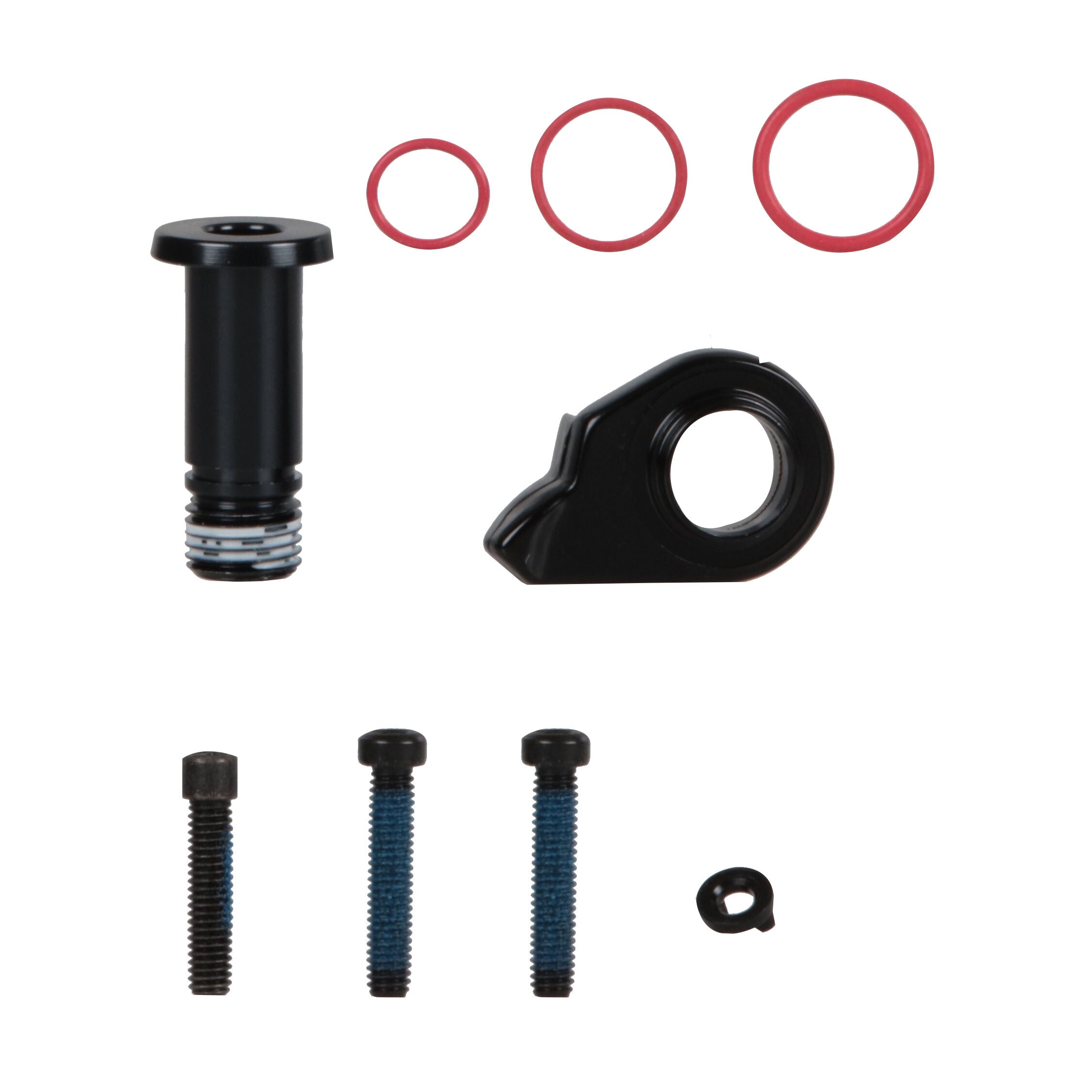 Sram XX1 Eagle AXS derailleur bolt kit