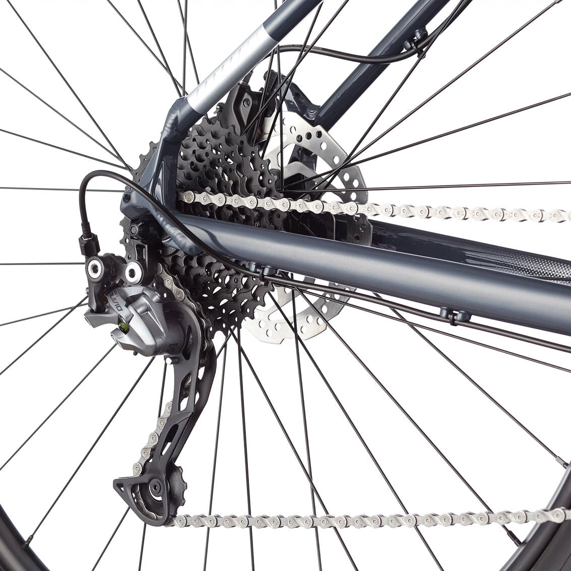 Cannondale Trail 6