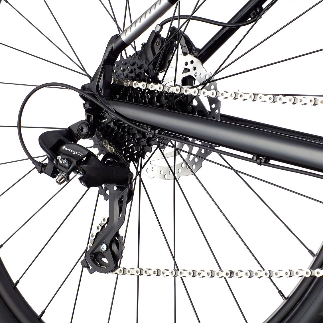Cannondale Trail 8