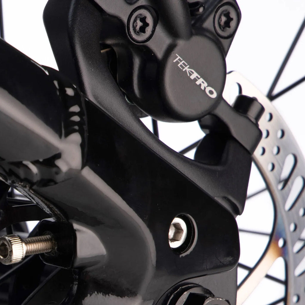 DMR Rhythm Pro
