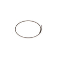 Fulcrum pawls spring RM0-005 for body R0-203