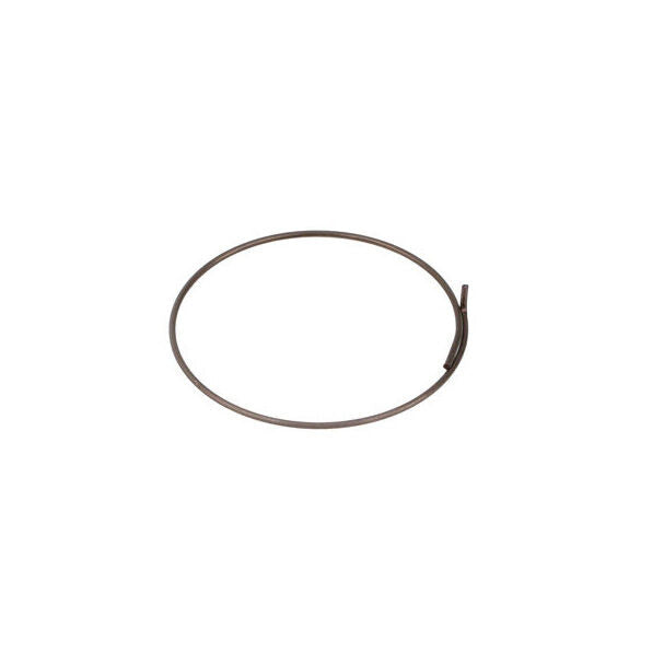 Fulcrum pawls spring RM0-005 for body R0-203
