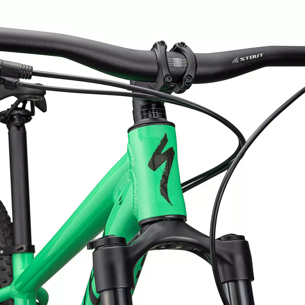 Specialized Rockhopper Expert 29"