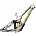 Specialized Demo Race 29 frame