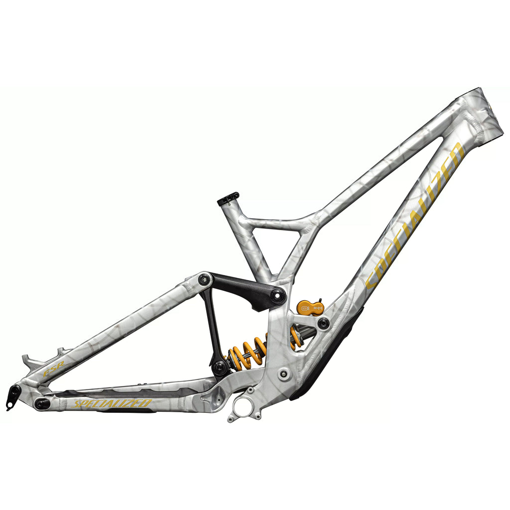 Specialized Demo Race 29 frame