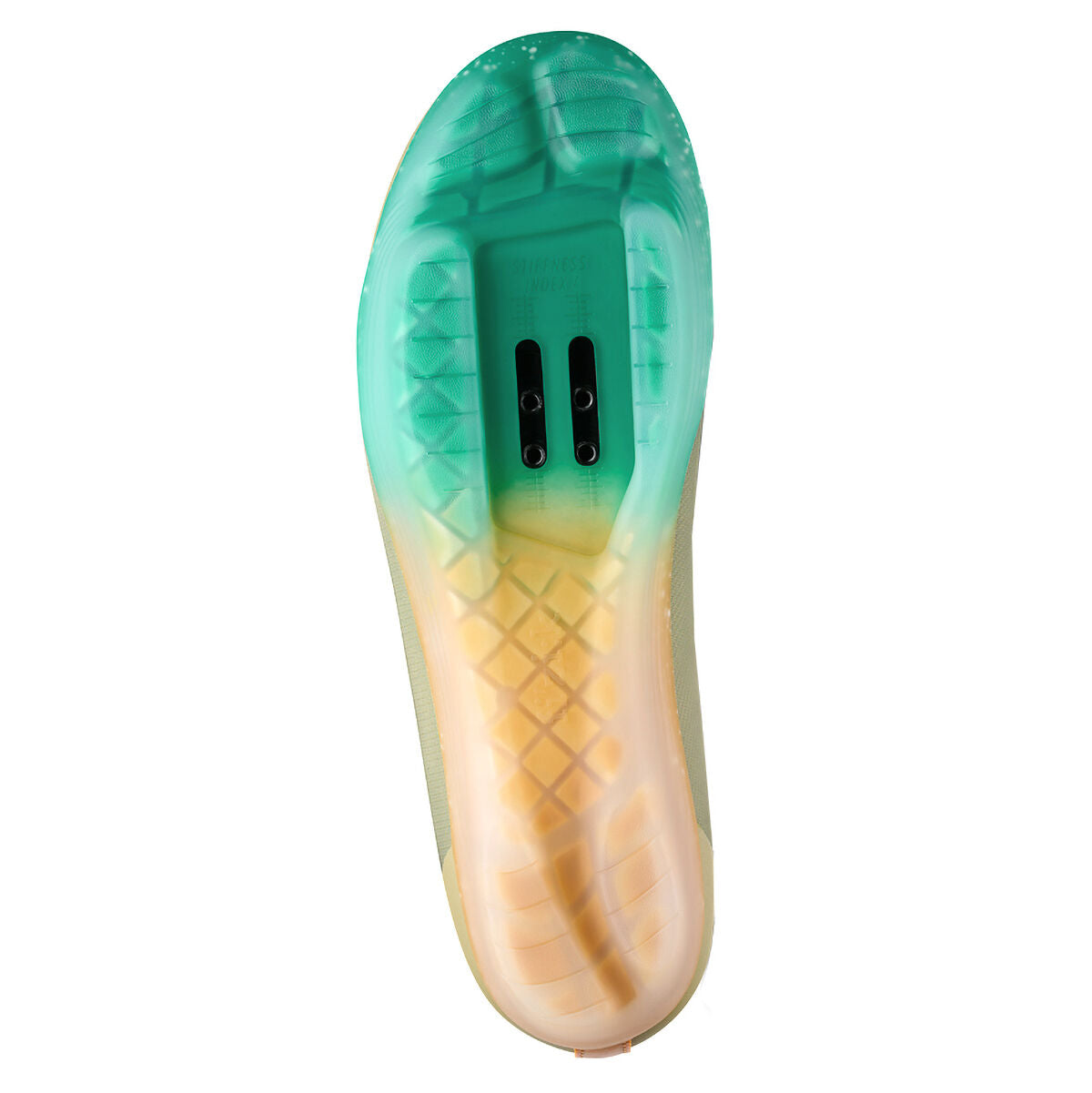 Fizik Tempo Beat shoes