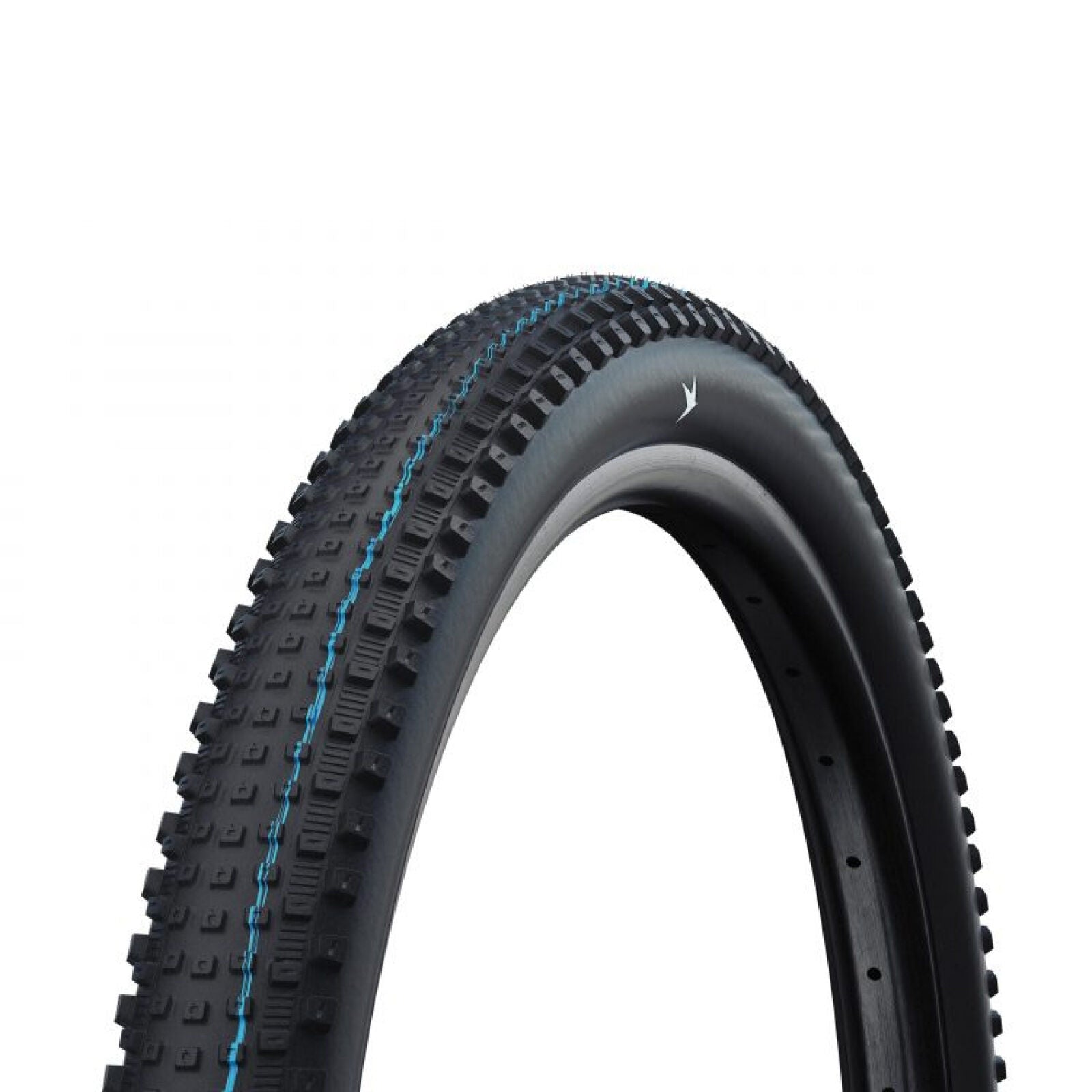 Schwalbe Rick XC Tl-Easy Super Ground Addix Speedgrip 29 tyre