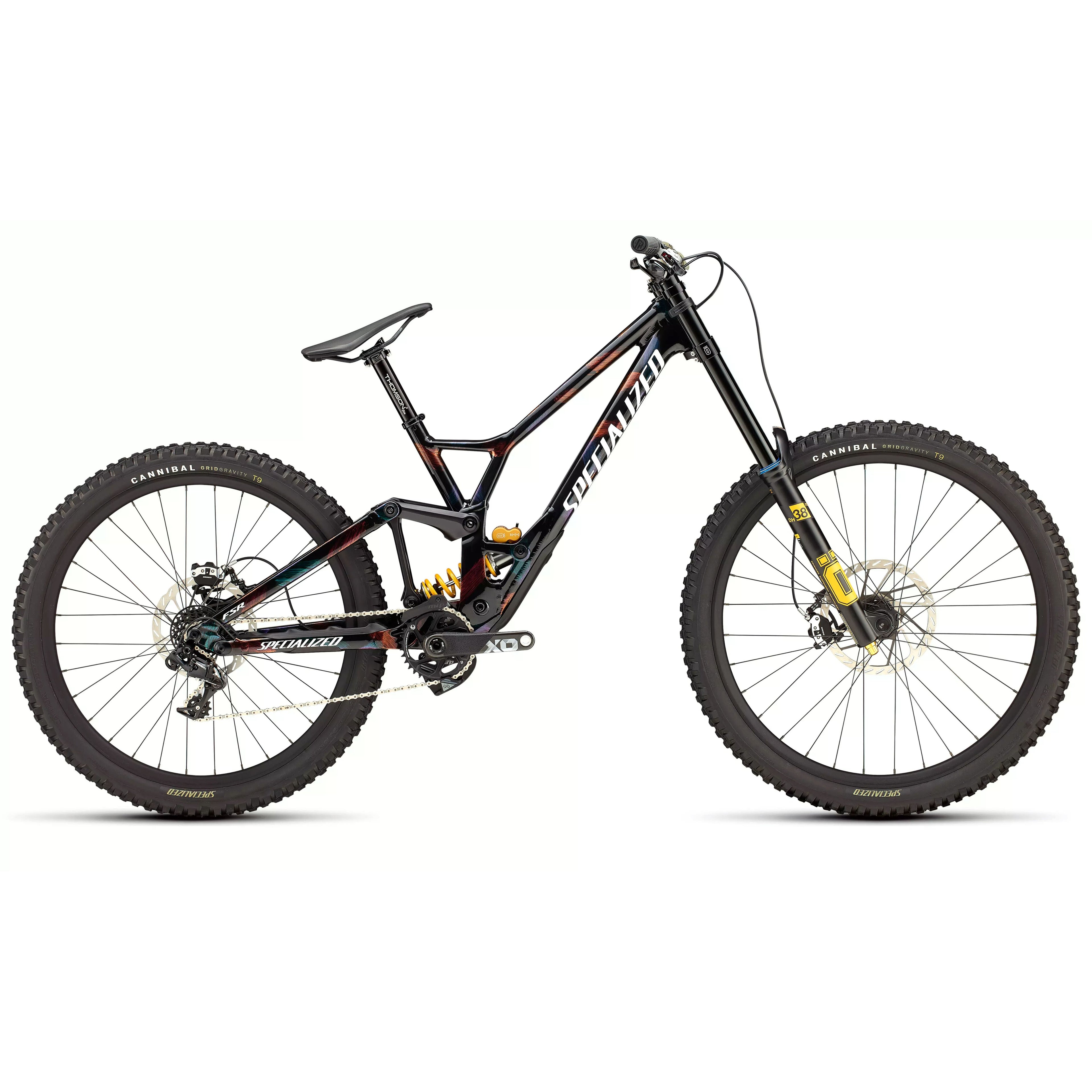 Specialized Demo Race