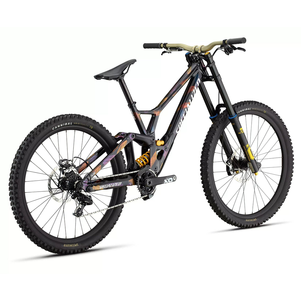 Specialized Demo Race