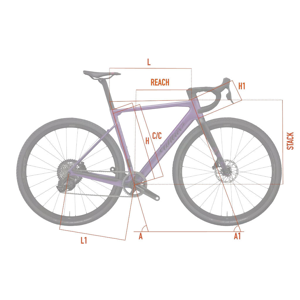 Wilier Triestina Rave SLR Gravel Setup Sram Red XPLR AXS+ Miche Graff Aero  2025