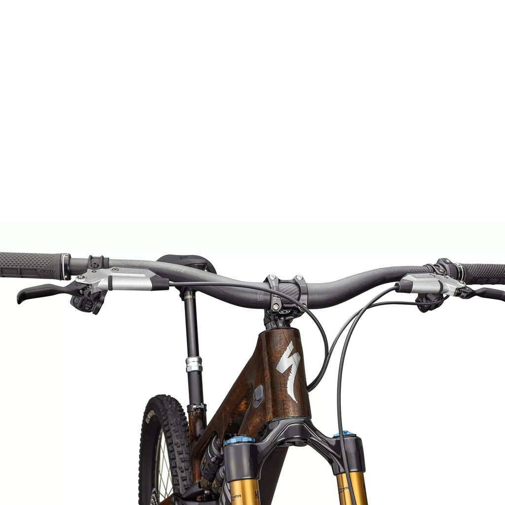 Specialized S-Works Turbo Levo SL Carborn