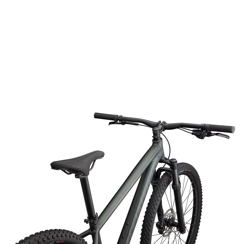 Specialized Rockhopper Comp 29