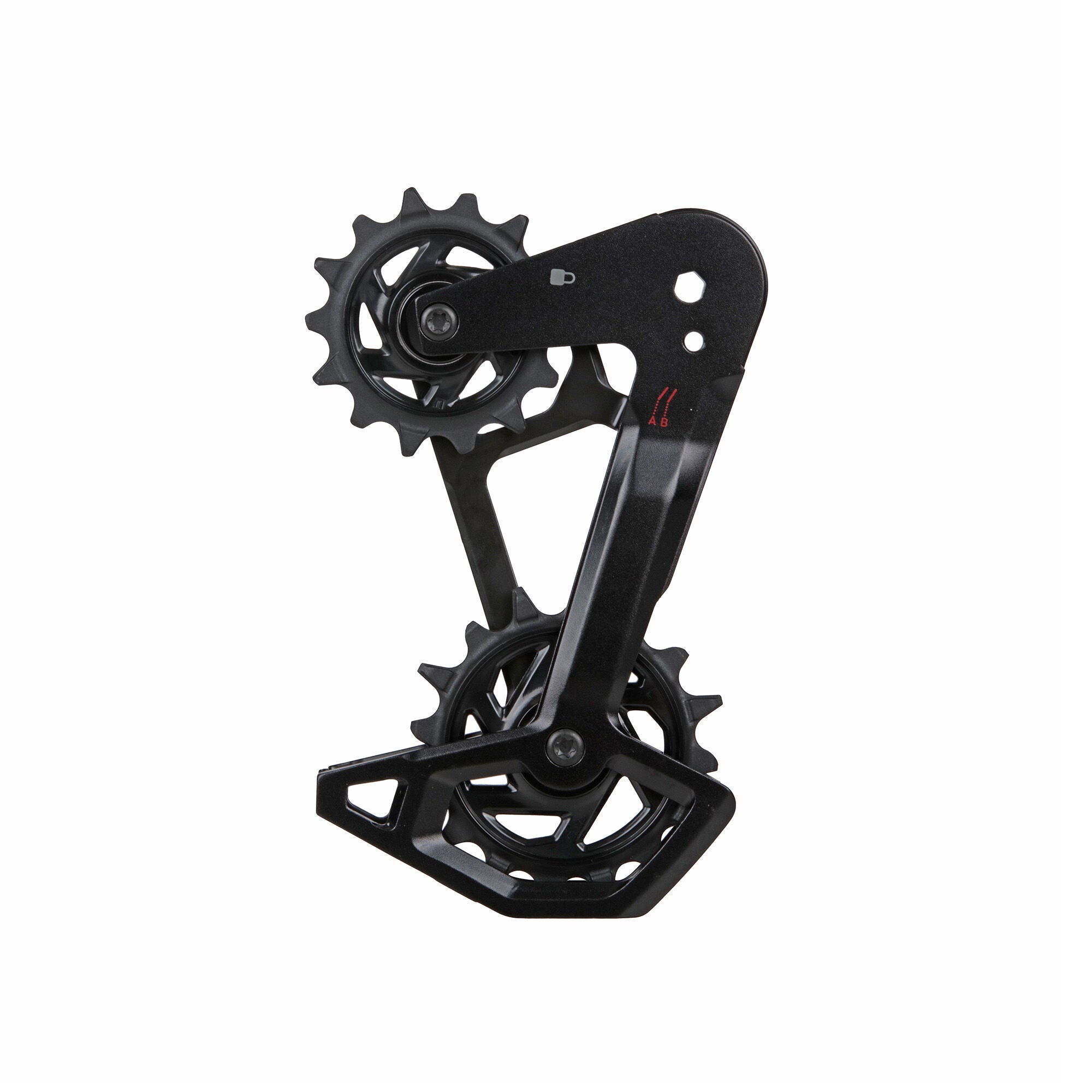 Sram T-Type Eagle AXS aluminium cage