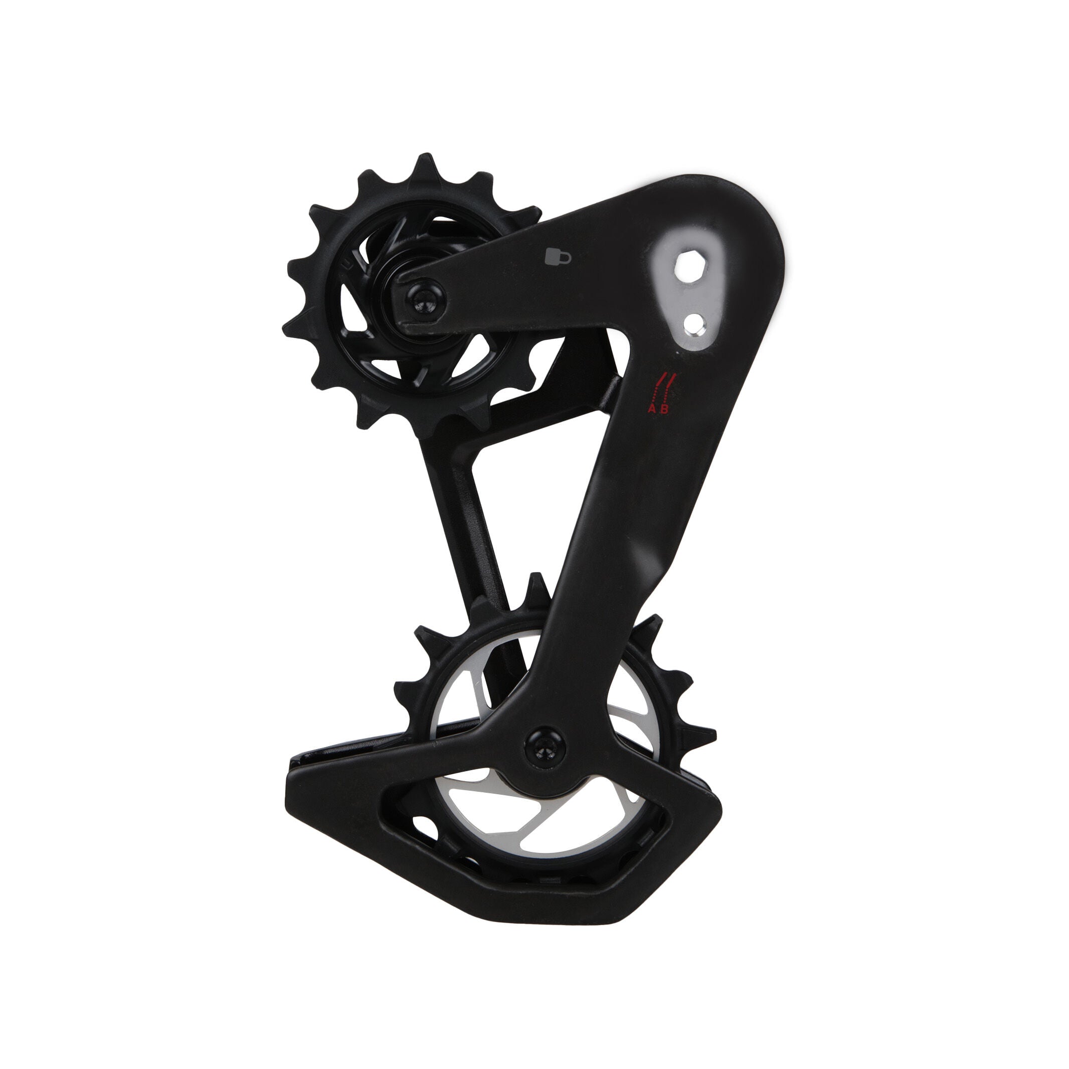 Kit Sram T-Type Eagle AXS carbon cage