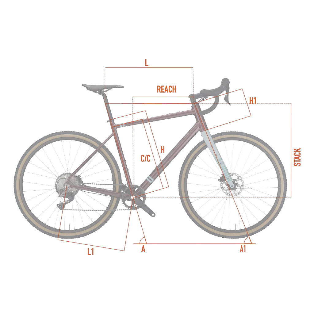 Wilier Triestina Jaroon Shimano GRX 1x12 + WTB Light