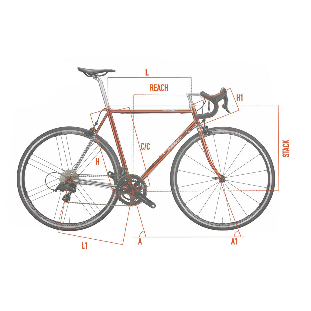 Wilier Triestina Superleggera Campagnolo Chorus  2026