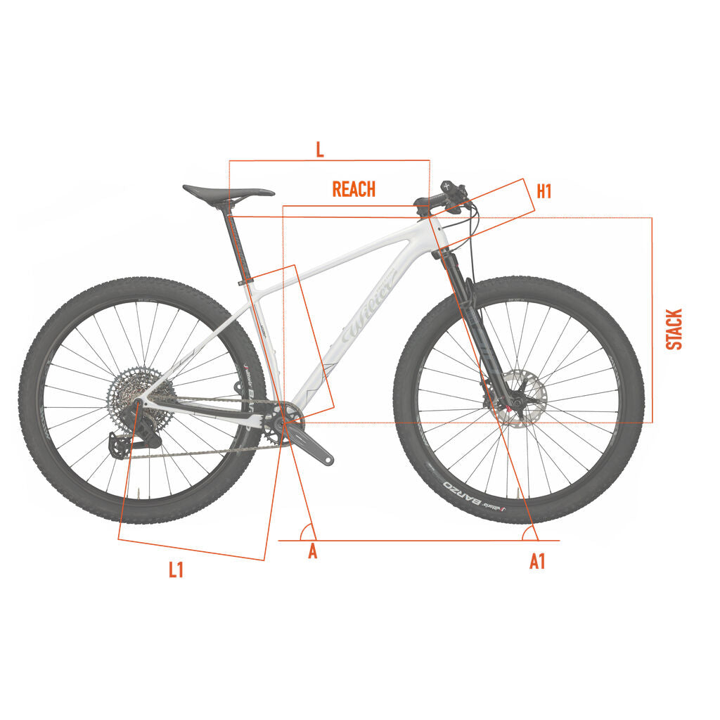 Wilier Triestina Usma SL Sram NX 12V + Miche XM45 + Rock Shox Recon RL