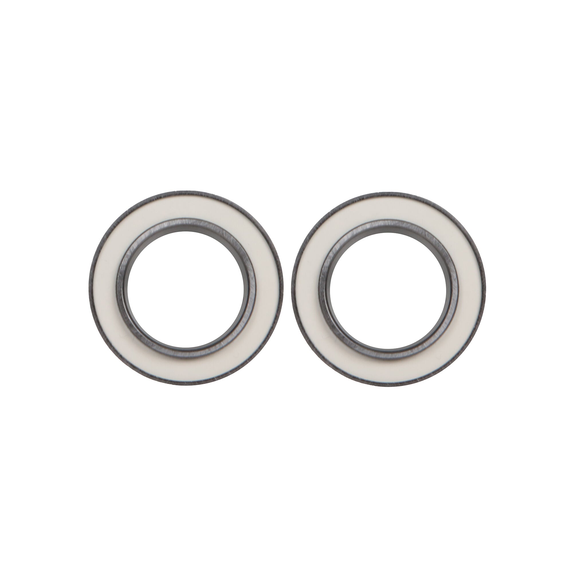 Fulcrum rs-100 hub overhaul kit