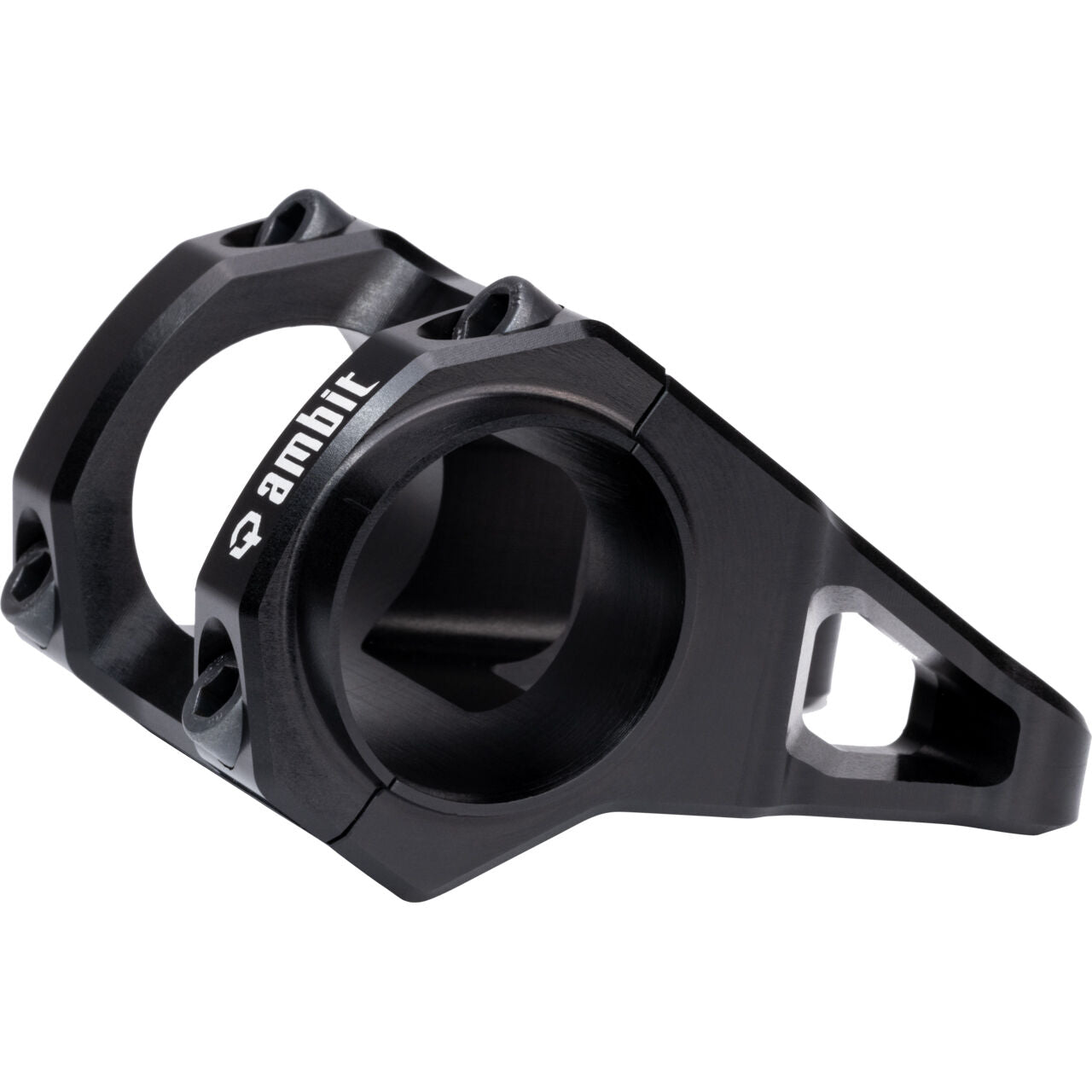 Ambit stem DH
