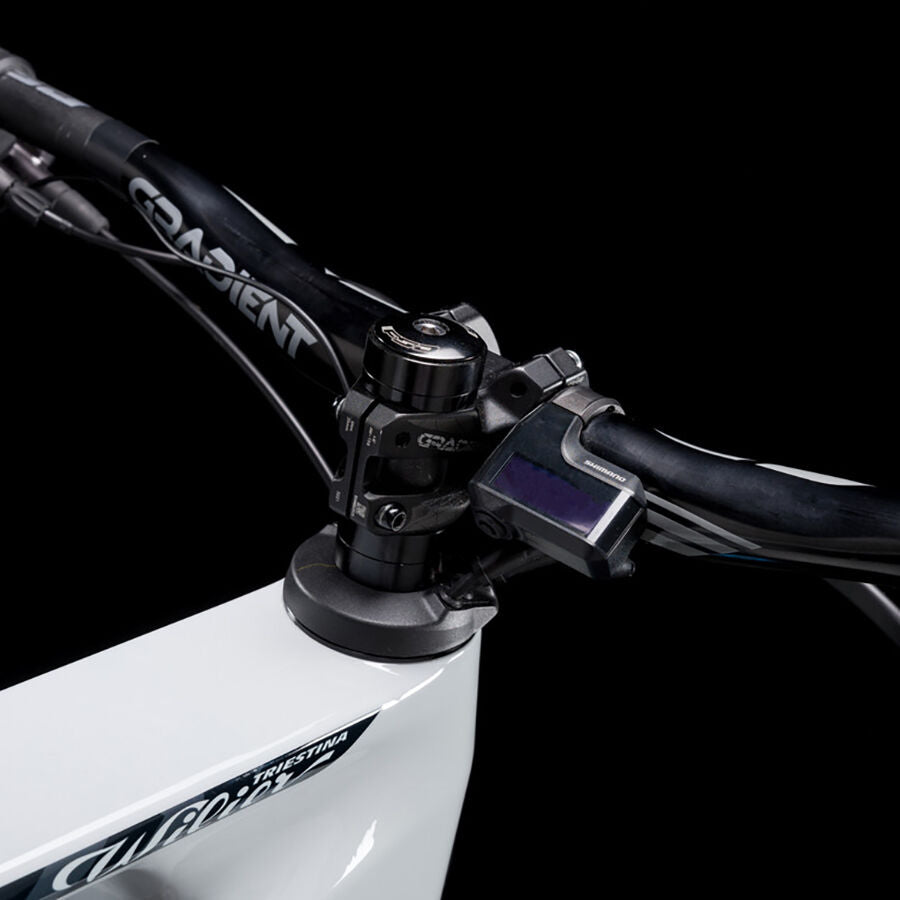 Wilier Triestina Karga Shimano XT 12v + Shimano MT620 + Zeb