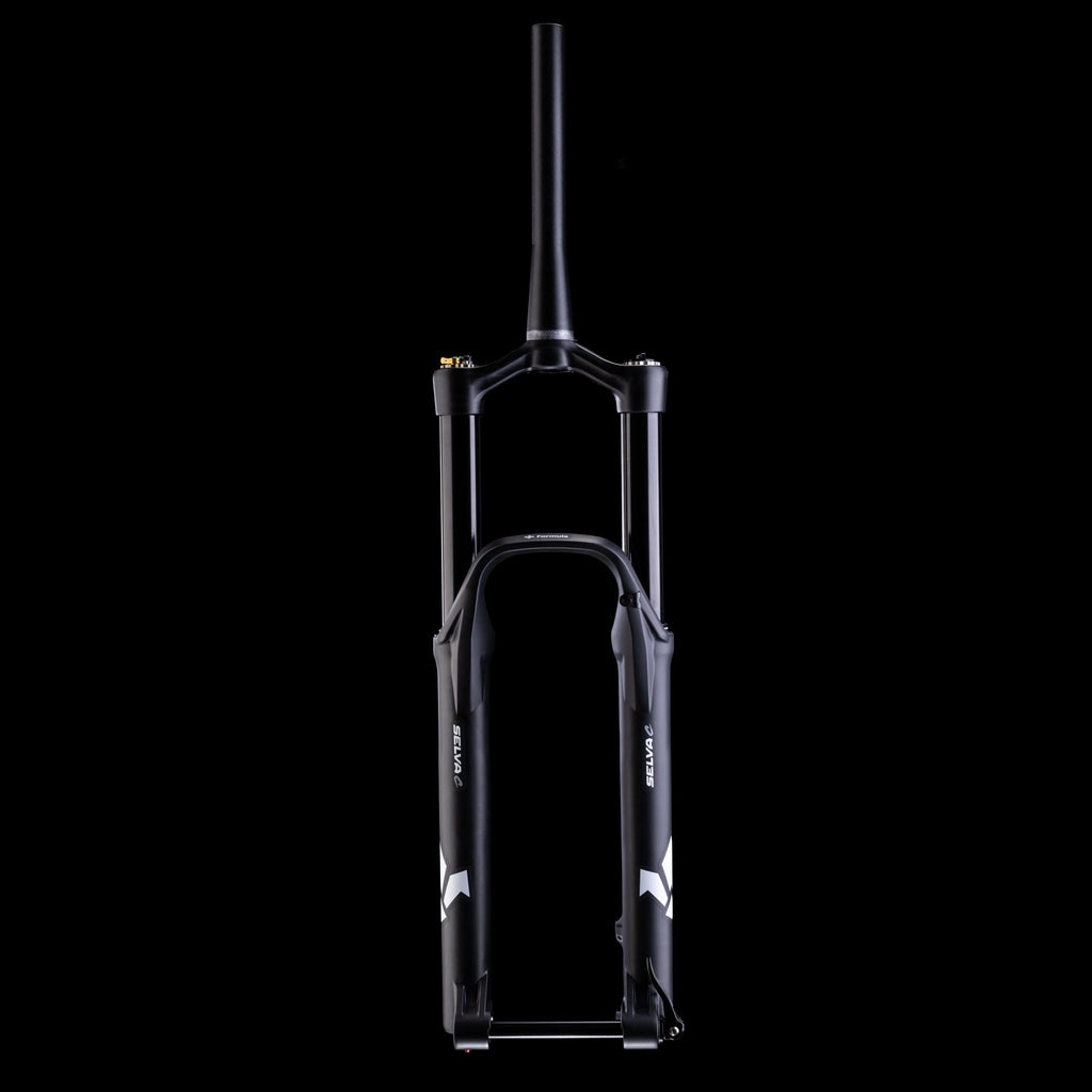 Formula Selva C 27.5/29" Tapered 15QR Boost Rake 43mm Standard fork
