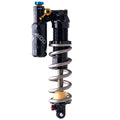 Formula Mod Trunnion rear shock