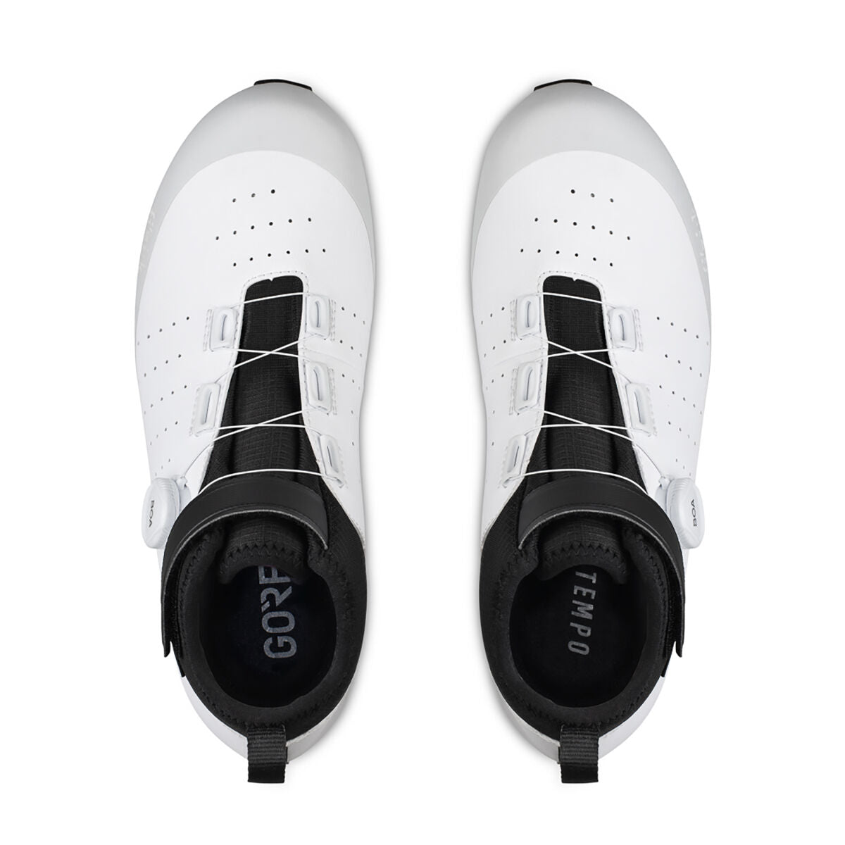 Fizik Tempo Artica R5 GTX shoes