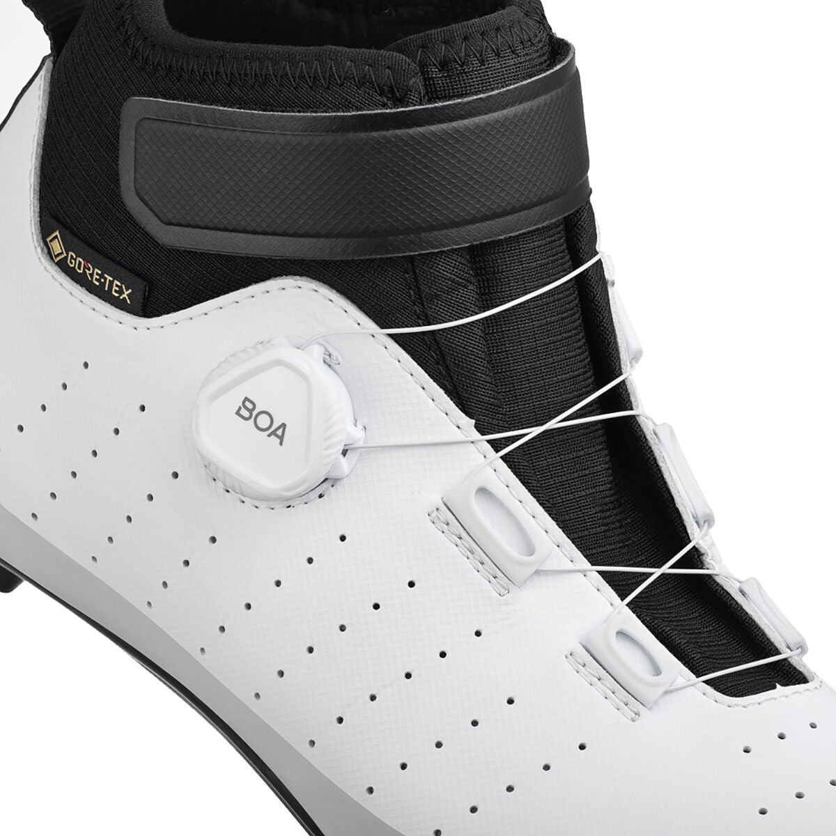 Fizik Tempo Artica R5 GTX shoes