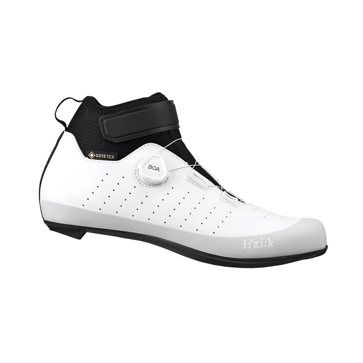 Fizik Tempo Artica R5 GTX shoes