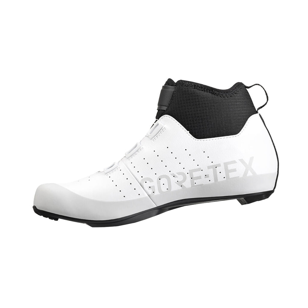 Fizik Tempo Artica R5 GTX shoes