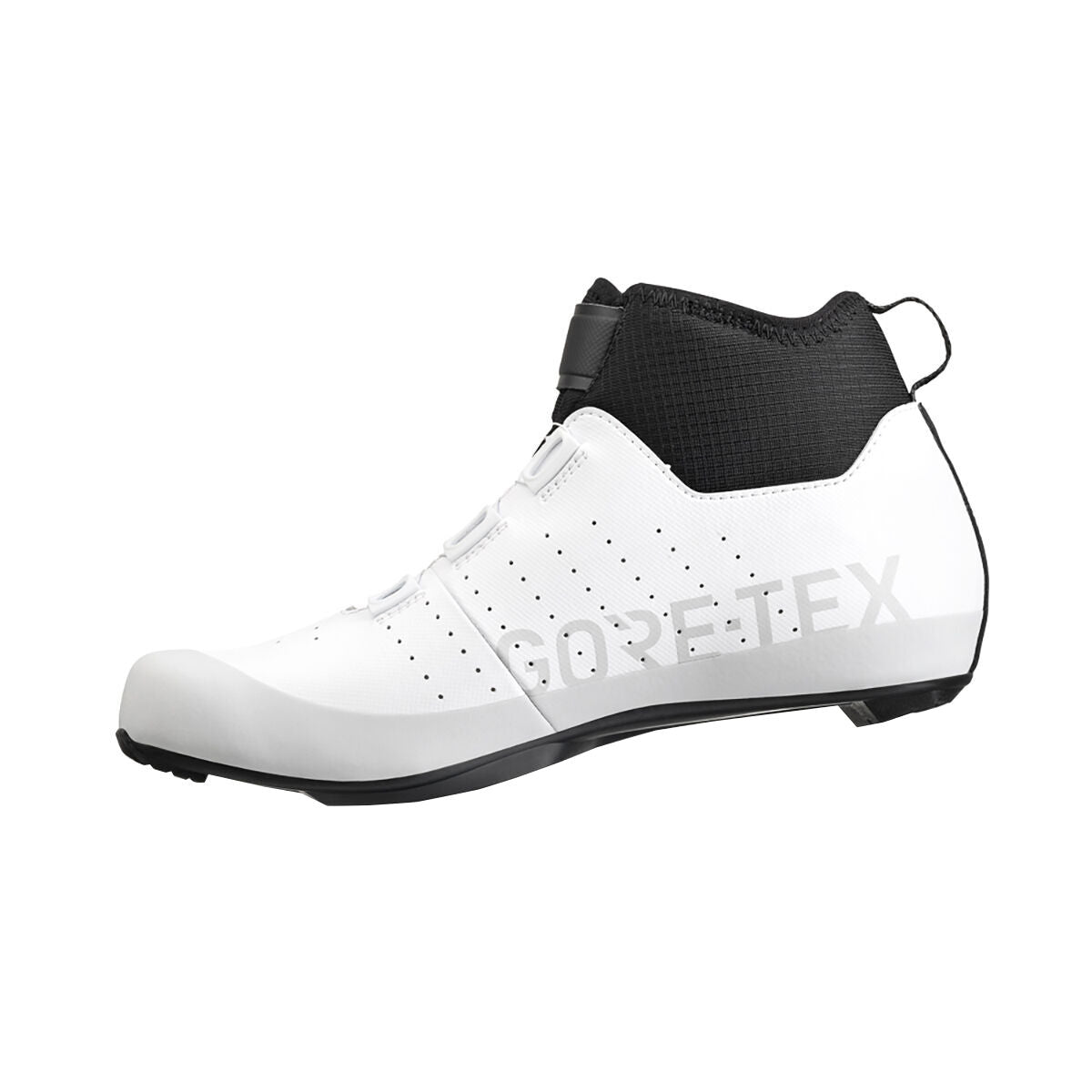 Fizik Tempo Artica R5 GTX shoes