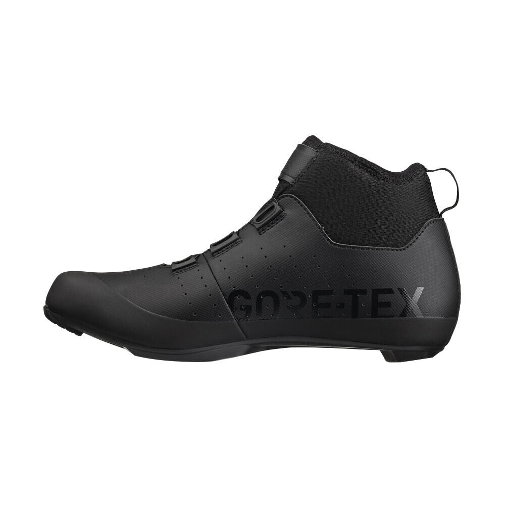 Fizik Tempo Artica R5 GTX shoes