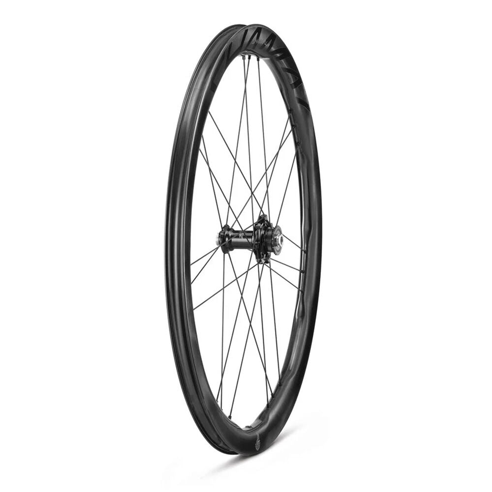 Campagnolo Shamal Carbon C23 wheels 2025