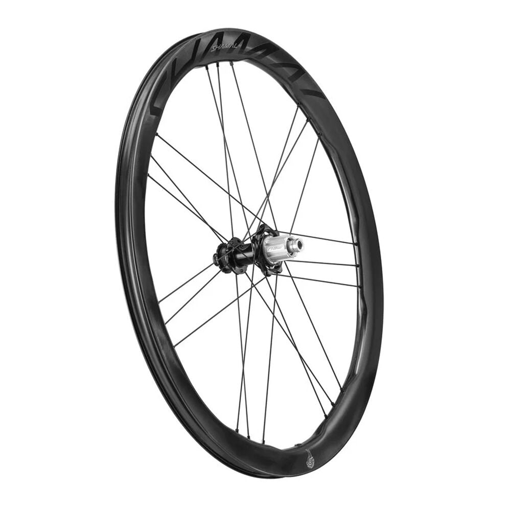 Campagnolo Shamal Carbon C23 wheels 2025