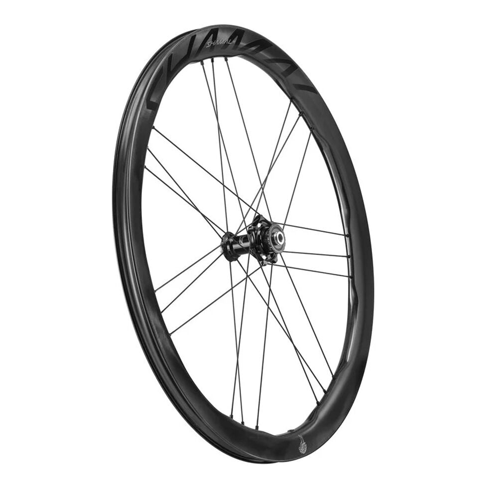 Campagnolo Shamal Carbon C23 wheels 2025