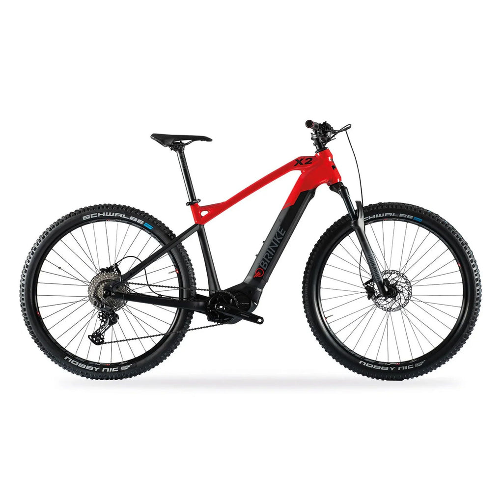 Brinke X2R EP801 bike